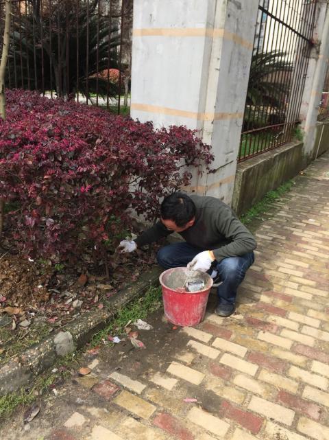 控制鼠害、预防疾病！。。。。，，，构建协调文明社区_w66国际app