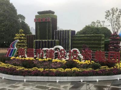 以菊为媒 以花为介 展现服务都会与生长之宗旨——市w66国际app集团参展南昌市第三十四届菊花展